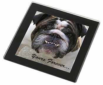 Bulldog "Yours Forever..." Black Rim High Quality Glass Coaster