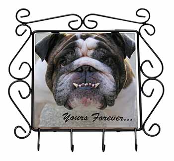 Bulldog "Yours Forever..." Wrought Iron Key Holder Hooks