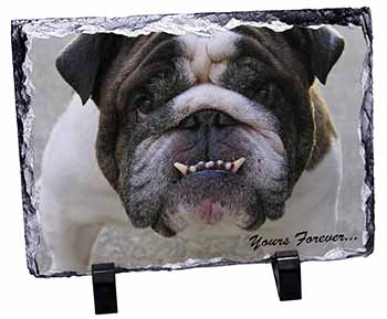 Bulldog "Yours Forever...", Stunning Photo Slate