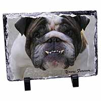 Bulldog "Yours Forever...", Stunning Photo Slate