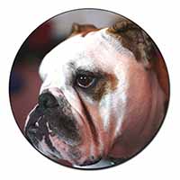 Bulldog Dog Fridge Magnet Printed Full Colour