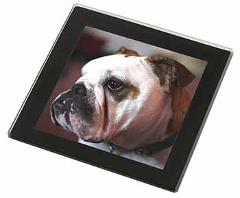 Bulldog Dog Black Rim High Quality Glass Coaster