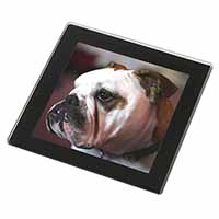 Bulldog Dog Black Rim High Quality Glass Coaster