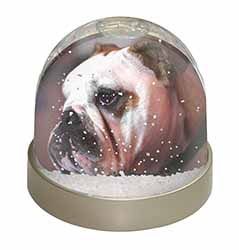 Bulldog Dog Snow Globe Photo Waterball