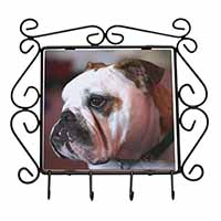 Bulldog Dog Wrought Iron Key Holder Hooks