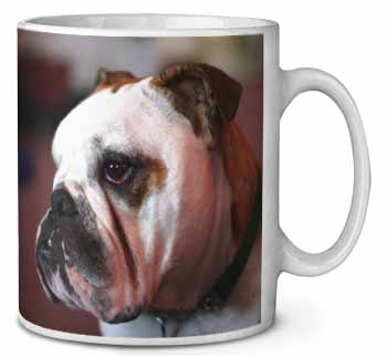 Bulldog Dog Ceramic Coffee Mug/Tea Cup