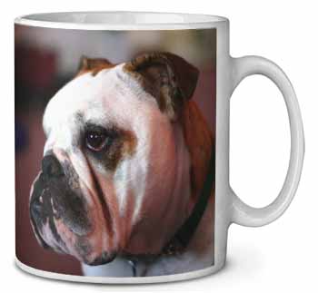 Bulldog Dog Ceramic 10oz Coffee Mug/Tea Cup