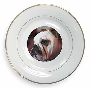 Bulldog Dog Gold Rim Plate Printed Full Colour in Gift Box