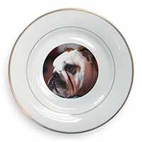 Bulldog Dog Gold Rim Plate Printed Full Colour in Gift Box