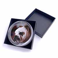 Bulldog Dog Glass Paperweight in Gift Box