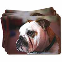 Bulldog Dog Picture Placemats in Gift Box
