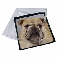 4x Bulldog Picture Table Coasters Set in Gift Box - Advanta Group®