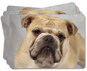 Bulldog Picture Placemats in Gift Box