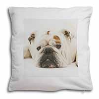 White Bulldog Soft White Velvet Feel Scatter Cushion - Advanta Group®