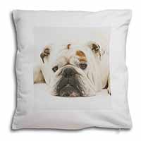 White Bulldog Soft White Velvet Feel Scatter Cushion