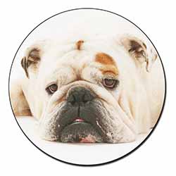 White Bulldog Fridge Magnet Printed Full Colour