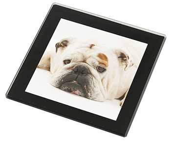 White Bulldog Black Rim High Quality Glass Coaster