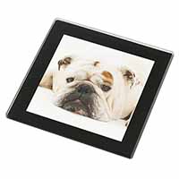 White Bulldog Black Rim High Quality Glass Coaster