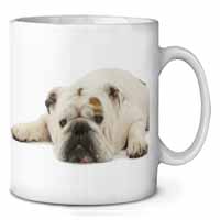 White Bulldog Ceramic Coffee Mug/Tea Cup