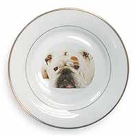 White Bulldog Gold Rim Plate Printed Full Colour in Gift Box