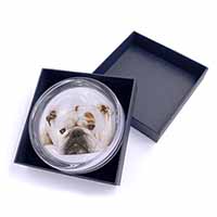 White Bulldog Glass Paperweight in Gift Box
