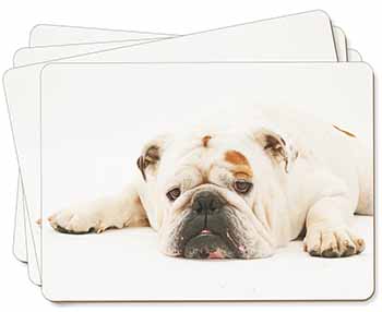 White Bulldog Picture Placemats in Gift Box