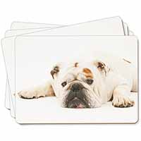 White Bulldog Picture Placemats in Gift Box - Advanta Group®