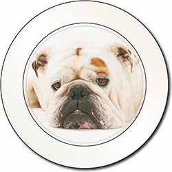 White Bulldog Car or Van Permit Holder/Tax Disc Holder