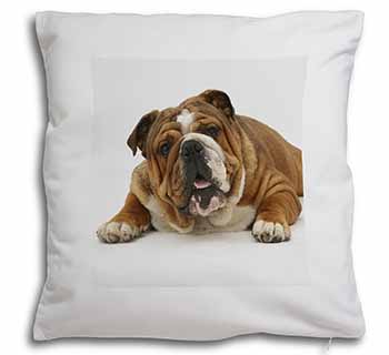 Beautiful Tan Bulldog Soft White Velvet Feel Scatter Cushion