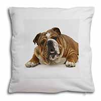 Beautiful Tan Bulldog Soft White Velvet Feel Scatter Cushion