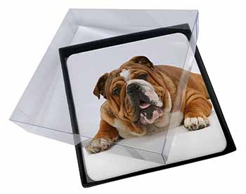 4x Beautiful Tan Bulldog Picture Table Coasters Set in Gift Box