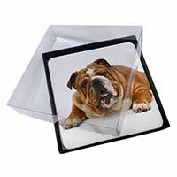 4x Beautiful Tan Bulldog Picture Table Coasters Set in Gift Box