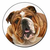 Beautiful Tan Bulldog Fridge Magnet Printed Full Colour