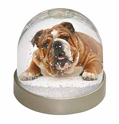 Beautiful Tan Bulldog Snow Globe Photo Waterball