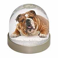 Beautiful Tan Bulldog Snow Globe Photo Waterball