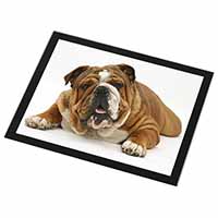 Beautiful Tan Bulldog Black Rim High Quality Glass Placemat