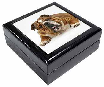 Beautiful Tan Bulldog Keepsake/Jewellery Box