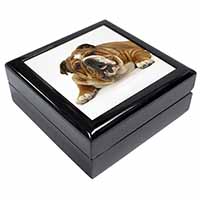 Beautiful Tan Bulldog Keepsake/Jewellery Box
