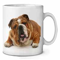 Beautiful Tan Bulldog Ceramic 10oz Coffee Mug/Tea Cup