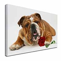 Red Bulldog with Red Rose Canvas X-Large 30"x20" Wall Art Print