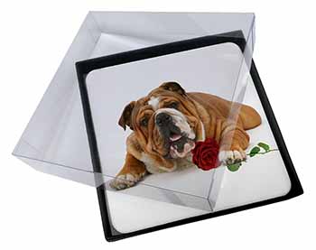 4x Red Bulldog with Red Rose Picture Table Coasters Set in Gift Box