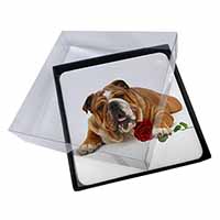 4x Red Bulldog with Red Rose Picture Table Coasters Set in Gift Box