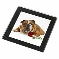 Red Bulldog with Red Rose Black Rim High Quality Glass Coaster
