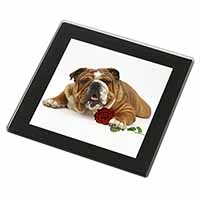 Red Bulldog with Red Rose Black Rim High Quality Glass Coaster