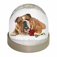 Red Bulldog with Red Rose Snow Globe Photo Waterball