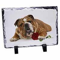 Red Bulldog with Red Rose, Stunning Photo Slate