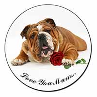 Bulldog+Rose 