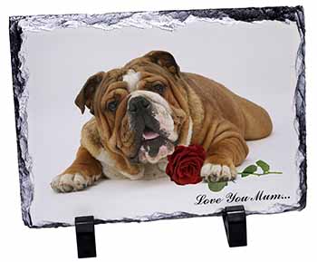 Bulldog+Rose 