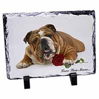 Bulldog+Rose 