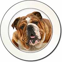 Beautiful Tan Bulldog Car or Van Permit Holder/Tax Disc Holder